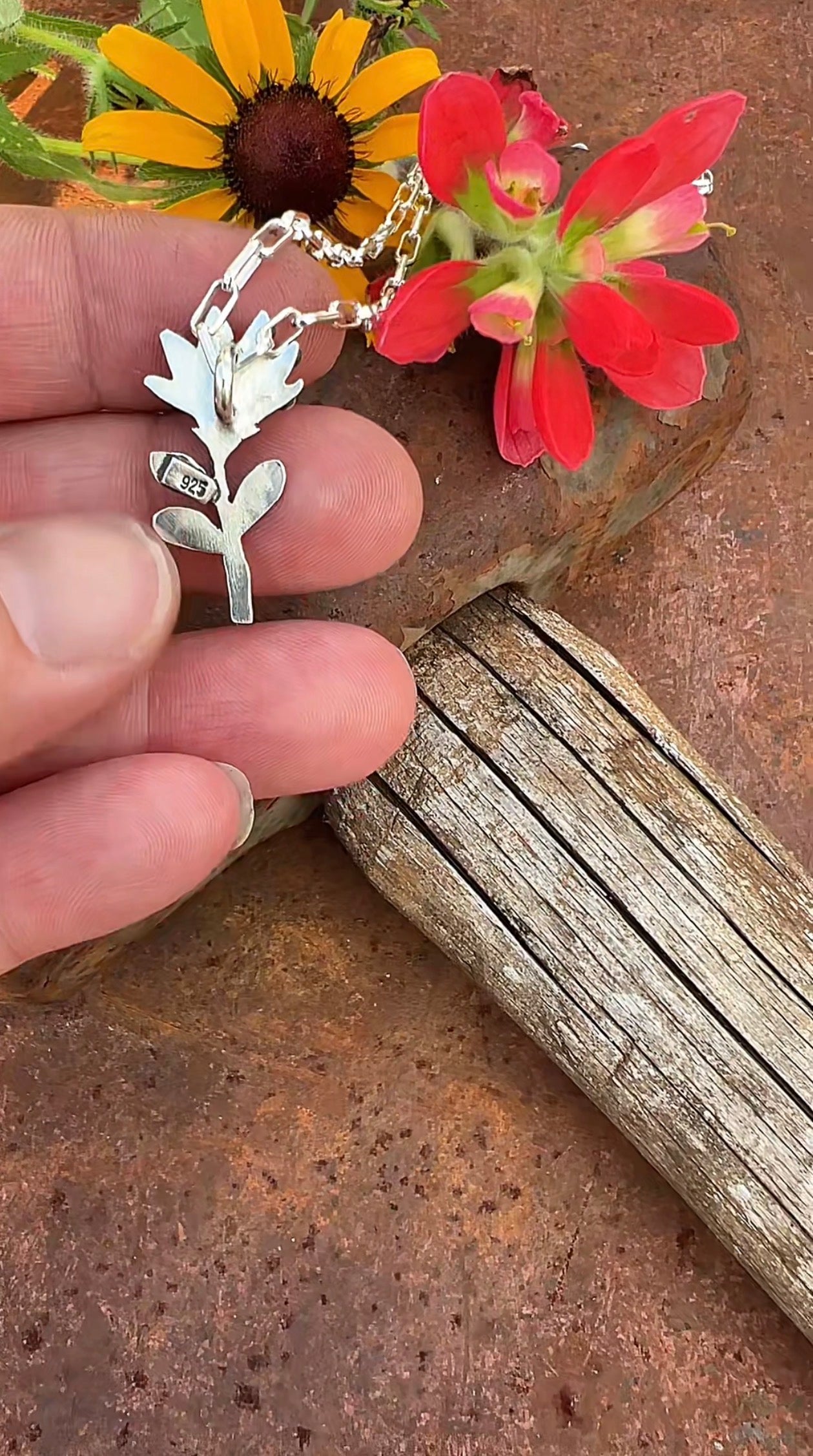 Pre-order Small Indian paintbrush