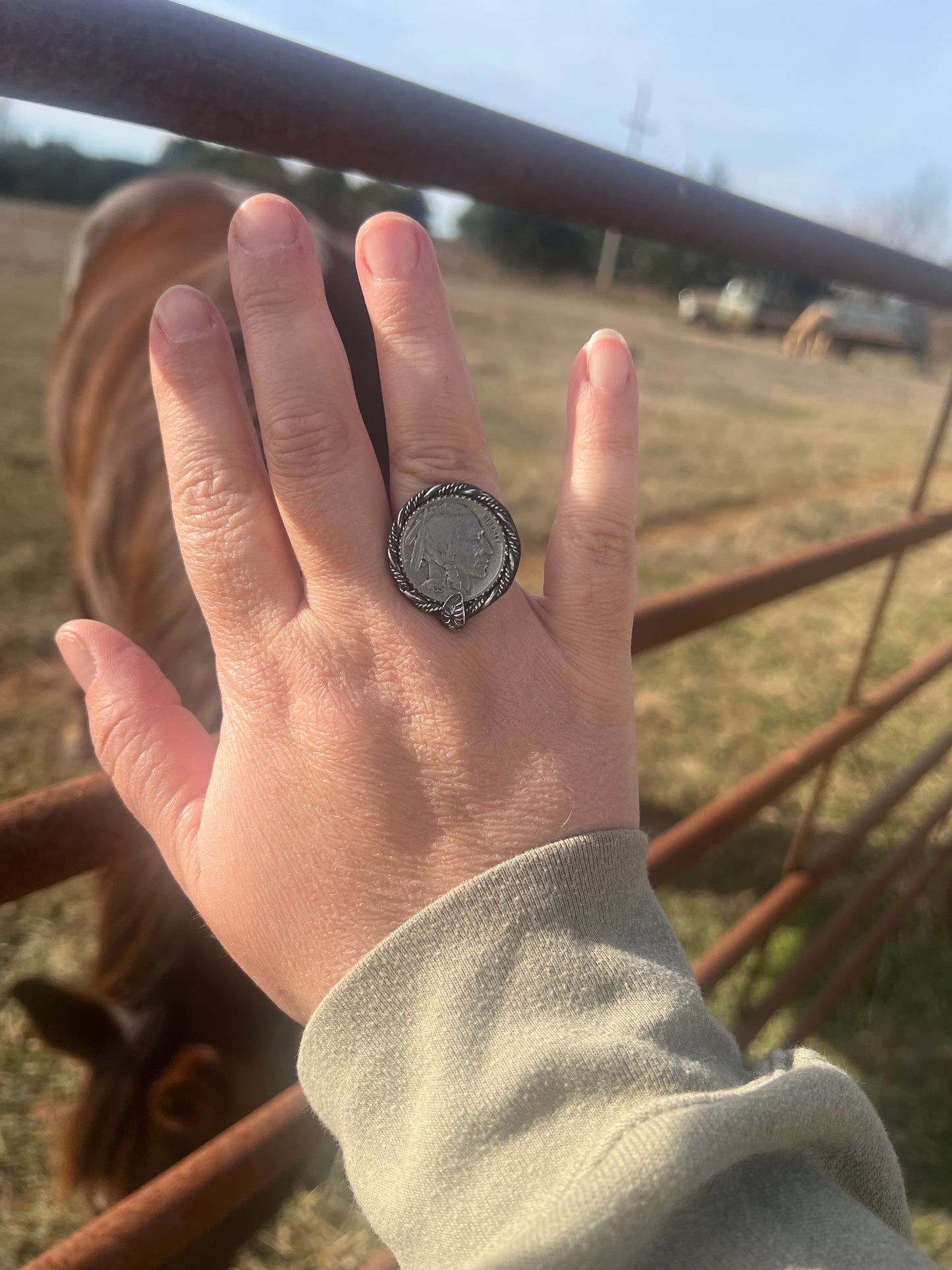 buffalo nickel ring