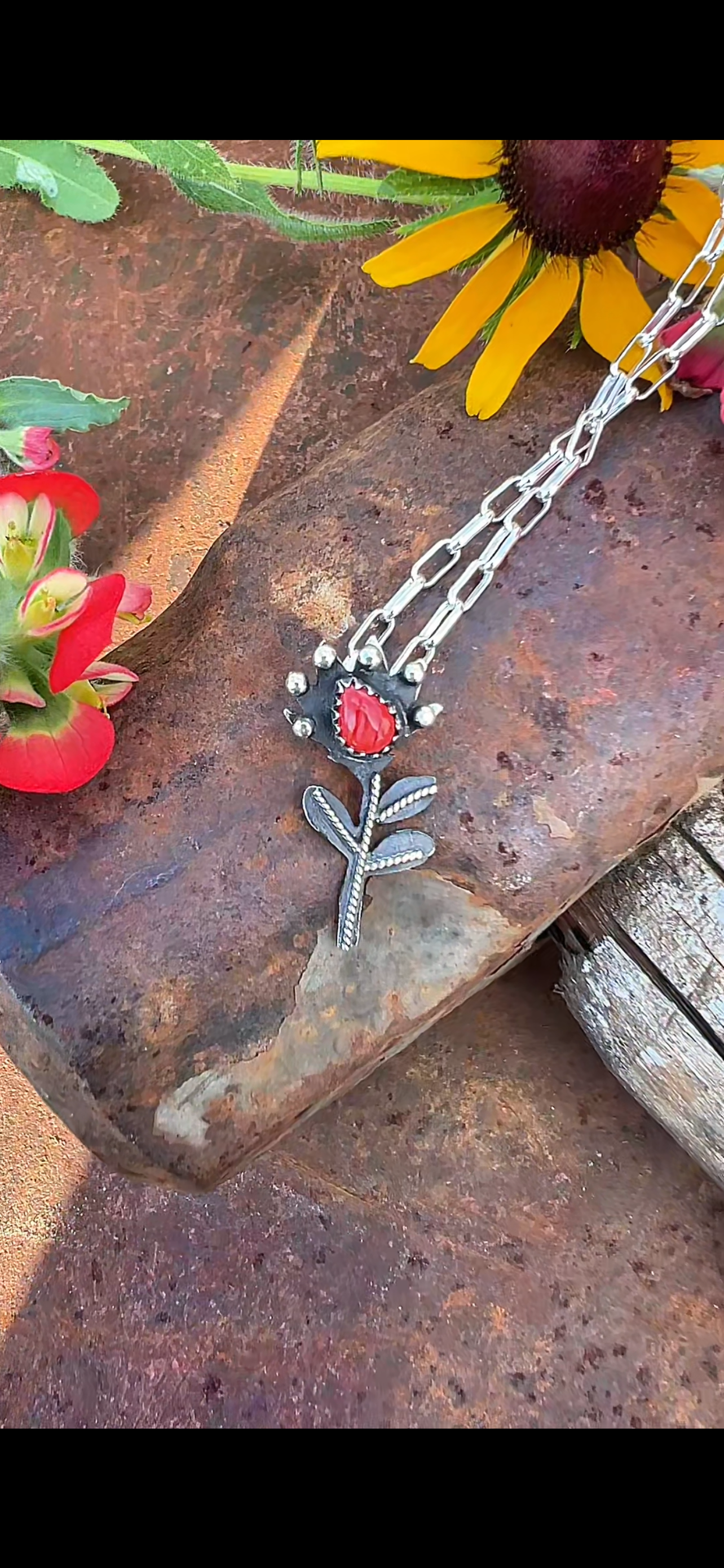 Pre-order Small Indian paintbrush