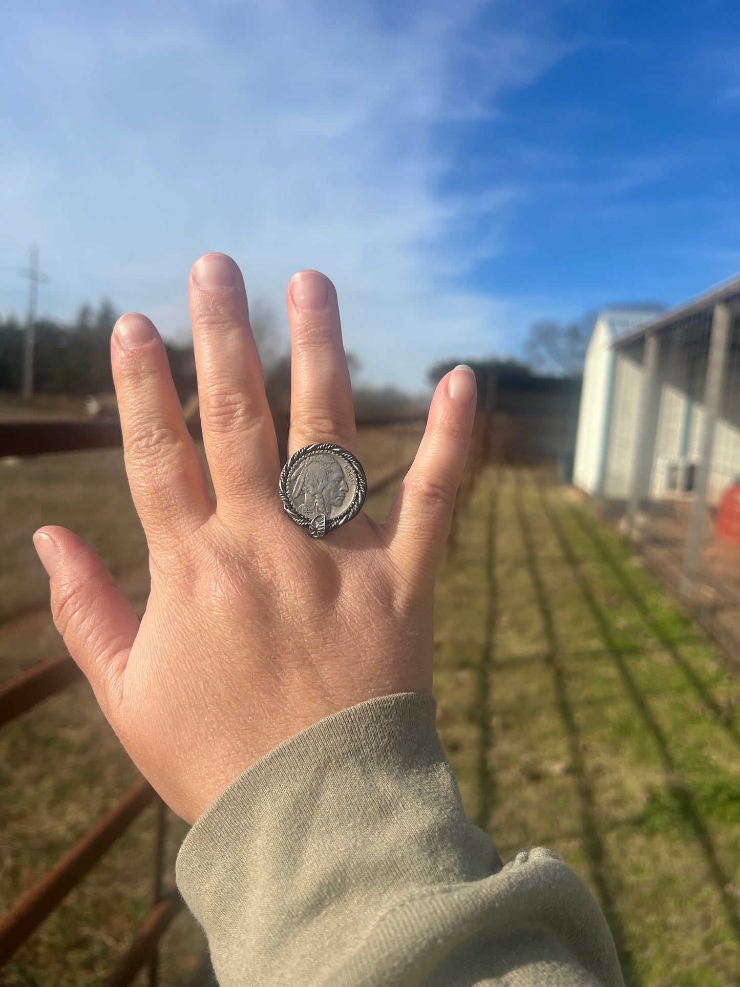 buffalo nickel ring