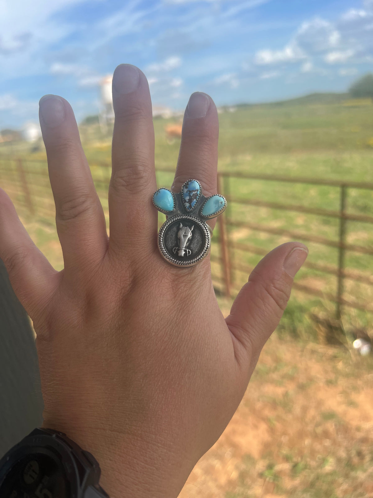Horse ring with golden hills turquoise